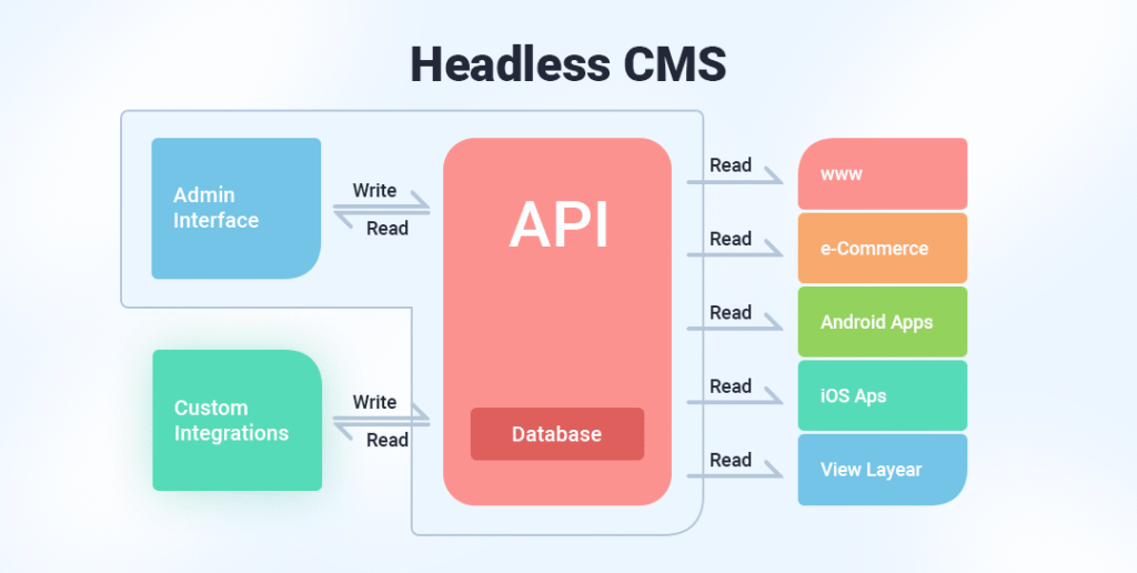 Headless CMS vs. Traditional WordPress: Which Is Best for Your Business ...